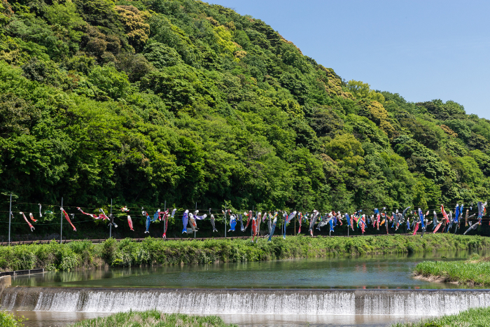 Carp streamers on the Murasaki River, Kokura-minami Ward, Kitakyushu City