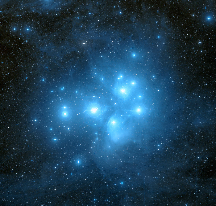 Pleiades star cluster Pleiades star cluster  M45 . This cluster contains around 500 stars that all formed from the same cloud of gas around 100 million year ago, very recently in stellar terms. A blue reflection nebula surrounds the stars, which shines by reflecting their light. The nebula is not associated with the history of the cluster, instead the stars are just happening to move through a dusty region of space. The Pleiades is one of the nearest star clusters to Earth, at around 440 light years distant. In excellent observing conditions, as many as 14 of the stars can be seen with the naked eye. Photographed by the 1.22 metre Oschin Telescope at Mount Palomar, California, USA.