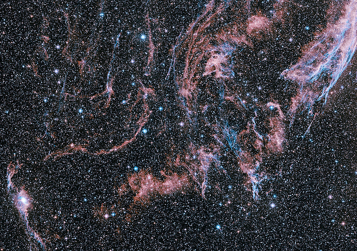 Veil nebula supernova remnant Veil nebula supernova remnant, NGC 6960. Optical image of the southern region of the Veil nebula, part of the Cygnus Loop, which is the remnant of a supernova that exploded some 5 8000 years ago. The gas ejected from the explosion expands outwards, colliding with interstellar material at high speed. The shock of the impact ionises the gases, causing them to glow. The roughly circular Cygnus loop describes the outer shell of these expanding gases. The nebula lies about 1400 light years away in the constellation Cygnus.