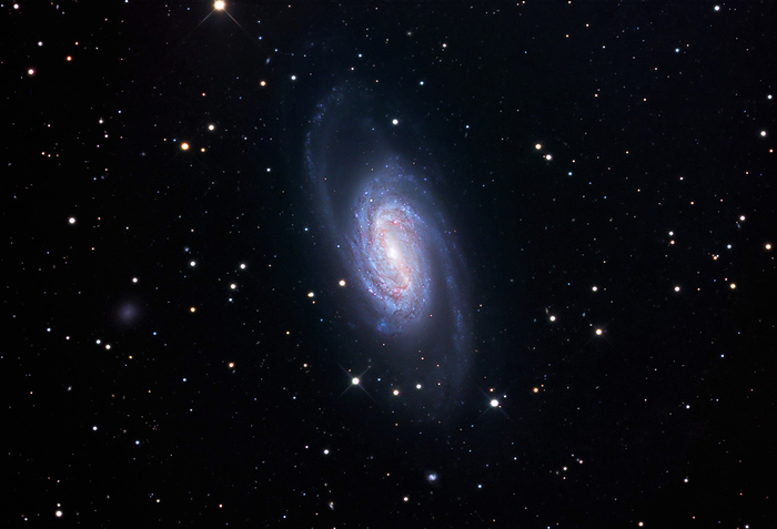 Barred spiral galaxy  NGC 2903  Barred spiral galaxy  NGC 2903 , optical image. This galaxy lies around 25 million light years away in the constellation Leo. It has spiral arms and a central bar, like our own galaxy, the Milky Way. The red areas are regions of star formation. The radiation from hot young stars ionises the surrounding gas and causes it to glow. It is thought that the gravitational effect of the central bar of the galaxy stimulates star formation.