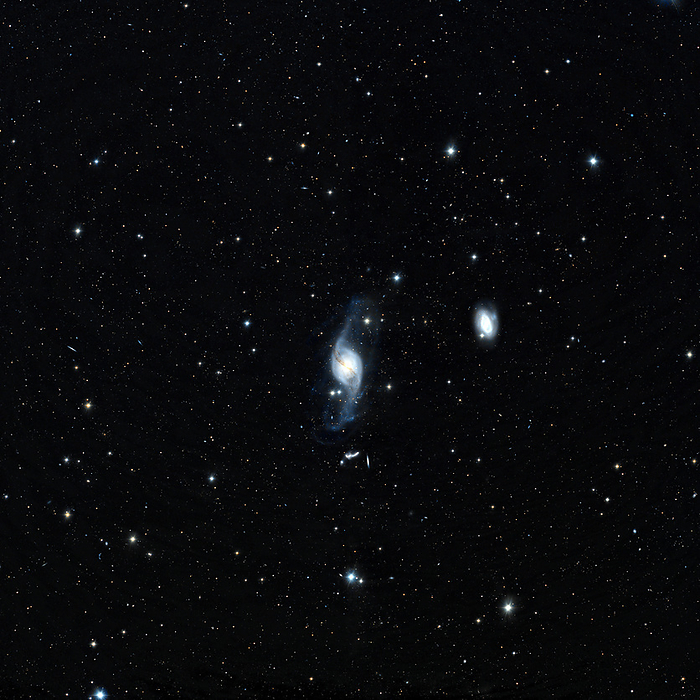 Gossamer galaxy  NGC 3718 , optical image Gossamer galaxy  NGC 3718 , optical image. NGC 3718  centre  is known as a peculiar galaxy, which are irregular spiral galaxies. The reasons for its unusual shape, with wispy outer arms and an unstructured centre, are unknown. There is a gossamer like  hence the name  wisp of dark nebula, a dense dust cloud, across its centre. The smaller galaxy to its right is NGC 3729. NGC 3718 lies about 52 million light years from Earth, in the constellation Ursa Major.