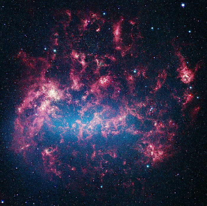 Large Magellanic cloud Large Magellanic Cloud  LMC , infrared image. The LMC is a dwarf galaxy, and a satellite of our own Milky Way galaxy. It contains regions of emission nebula  red , where radiation from hot young stars ionises surrounding gas, causing it to glow. There are also reflection nebulae  blue , caused by dust reflecting the light of nearby stars. This image is a mosaic of over 100,000 tiles taken with NASA s Spitzer Space Telescope, an observatory orbiting the Earth.