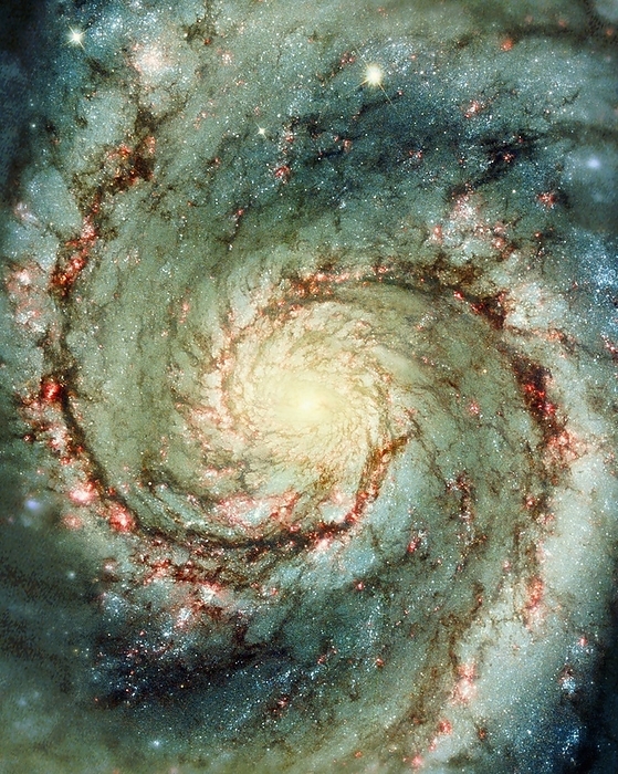 M51 whirlpool galaxy M51 whirlpool galaxy. Hubble Space Telescope  HST  image of the M51 or NGC 5194 whirlpool galaxy. This spiral galaxy is located around 15 million light years away from Earth, in the constellation Canes Venatici. Its spiral arms contain hot, young stars  blue  and many starbirth regions  red . The nucleus  centre  of the galaxy contains older stars  yellow .