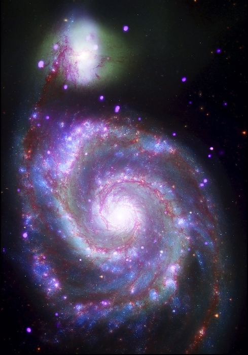 Whirlpool galaxy  M51 , composite image Whirlpool galaxy M51  NGC 5194 . Ultraviolet  blue , X ray  purple , infrared  red  and visible light  green  composite image of the spiral galaxy M51. This classic spiral galaxy is one of the brightest galaxies in the sky. The smaller galaxy seen at upper left is NGC 5195. These galaxies lie about 23 million light years from Earth, in the constellation Canes Venatici. Image obtained using the Galaxy Evolution Explorer  GALEX  Orbiter telescope, the Chandra X ray Observatory, the Spitzer Space Telescope and the Hubble Space Telescope.