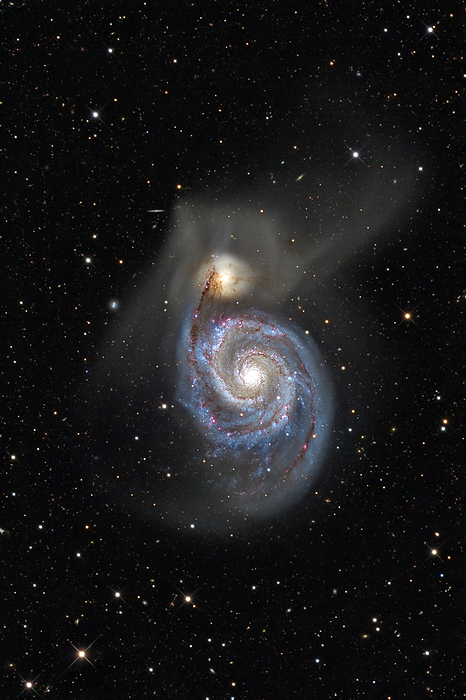 Whirlpool galaxy  M51  Whirlpool galaxy  M51 , optical image. The Whirlpool galaxy is locked in a gravitational interaction with the smaller irregular galaxy NGC 5195  cream, left of M51 . It is thought that NGC 5195 passed through the disc of M51 around 500 million years ago, then swung back through the disc to its present position behind M51 in the last 100 million years. Dark lanes of dust in the spiral arm of M51 are revealed in silhouette against the bright NGC 5195. These would otherwise be invisible at visible wavelengths. M51 is around 50,000 light years in diameter, around half the size of our Milky Way. The galaxies lie around 37 million light years from Earth in the constellation Canes Venatici.