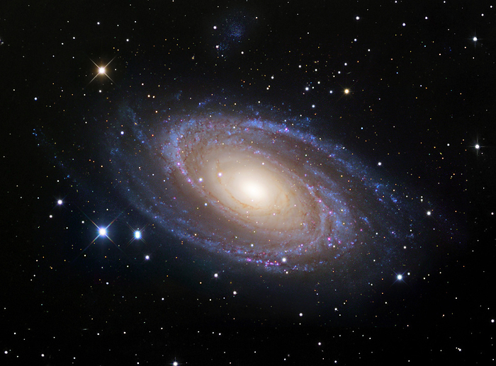Spiral galaxy  M81  Spiral galaxy  M81 , optical image. This galaxy lies around 12 million light years from the Earth in the constellation Ursa Major. It is thought to contain around 250 billion stars, making it slightly smaller than our own galaxy, the Milky Way. The core of the galaxy appears yellow as it contains older stars. The spiral arms contain areas of star birth, with clouds of ionised gas glowing red and dust clouds reflecting starlight appearing blue.