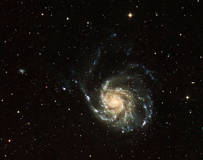 Pinwheel Galaxy, UV and optical image Pinwheel Galaxy  M101, NGC 5457 , combined optical and ultraviolet  UV  image. The ultraviolet areas  blue , mainly seen in the galactic spiral arms, show the presence of newly formed stars  only a few million years old . The faint green light that is also seen in the spiral arms, marks stars that are more than 100 million years old. The orange glow of the centre of the galaxy shows that these stars are over a billion years old. This shows how UV astronomy can reveal stellar evolution within a galaxy. M101 is over 170,000 light years across. and is around 27 million light years away in the constellation Ursa Major. UV data obtained by the GALEX satellite in 2003.