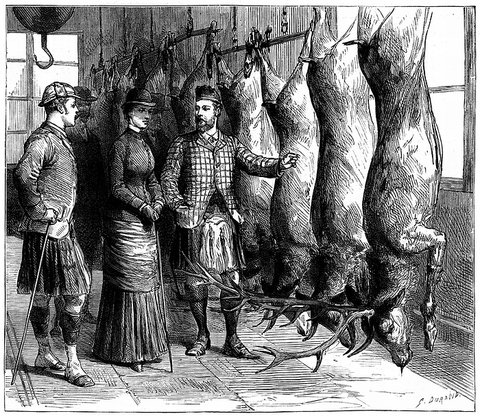 Duke of Fife's game larder, 1881. The Prince and Princess of Wales (Edward VII and Queen Alexandra from 1901) being shown the Duke of Fife's game larder during a deerstalking holiday in the Forest of Mar, Scotland. From 'The Graphic'.  (London, 1881).   Wood engraving.