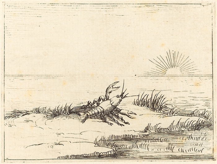 Crayfish Looking at the Sun, 1628. Creator: Jacques Callot. Crayfish Looking at the Sun, 1628.