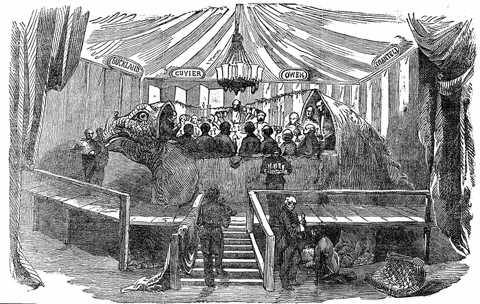 Dinner given by Waterhouse Hawkins (the maker) to celebrate the completion of two Iguanadon statues to be put on display at the Crystal Palace, Sydenham, New Year's Eve, 1853. Guests included Richard Owen, E Forbes, the geologist Prestwick and the ornithologist Gould. From 'The Illustrated London News', January 1854.
