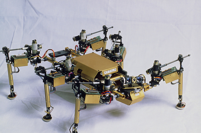 Robot insect at MIT robotics lab Attila , a robot insect under development at the Massachusetts Institute of Technology  MIT , USA. The Mobile Robot laboratory at MIT has produced several such robots during nanotechnology and micromechanics research. All of them perform very simple tasks, the result of so called  artificial stupidity . Attila is able to move across quite rough terrain by itself, negotiating small obstacles using its own logic. It is 30cm in length, weighs 1.6kg, and has 23 motors and 150 sensors including a video camera. Future robot insects may be used in industry to make checks and on the spot repairs inside otherwise inaccessible machinery.