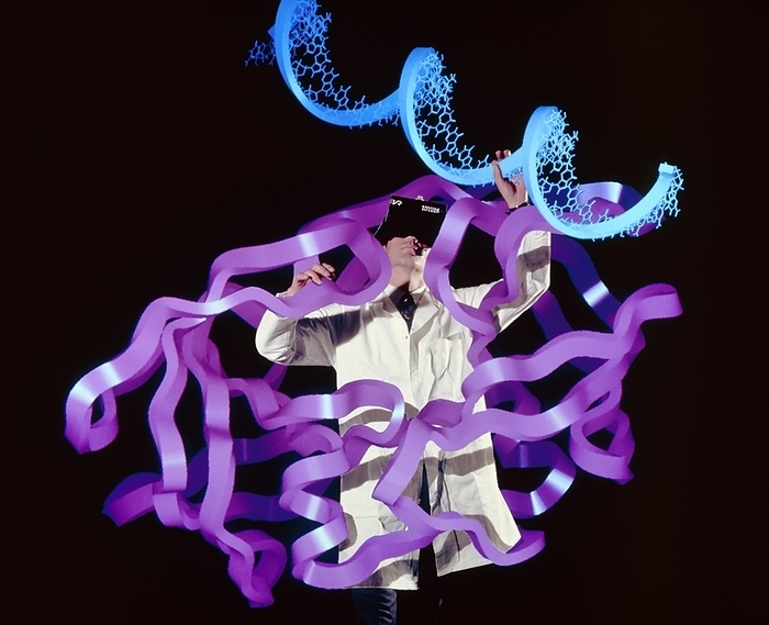 CAD design of HIV protease inhibitor drug Model Released. Virtual reality in biochemistry. Digital composite image showing a biochemist using a virtual reality  VR  system to investigate molecular interactions. The large purple ribbon  like molecule is HIV protease, the blue helical object is half of a section of DNA. VR systems allow researchers to manipulate computer generated stereo images of molecules to study their interactions. Once immersed in a virtual world, the researcher may pick up molecules, orient them as desired, add or remove functional groups and see how molecules interact as a result of their electrostatic potentials.