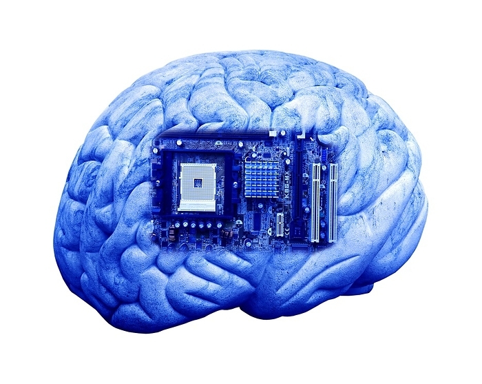 Artificial intelligence and cybernetics Artificial intelligence and cybernetics, conceptual image. This image of a computer motherboard, superimposed on a human brain, could represent concepts such as cybernetics, robotics, brain implants, and artificial intelligence. The computer components include the socket for the central processing unit  CPU, white square at left  and expansion slots  right . These can represent the brain s role as the main part of the central nervous system  CNS , and concepts such as memory.