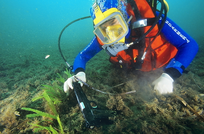 Finding evidence underwater Finding evidence underwater. Gun being recovered from the seabed by a police diver. As with any potential crime scene, great care must be taken to preserve the evidence. Gloves are used to avoid adding fingerprints, and the gun is handled by the barrel, rather than the handle. Other procedures include noting the location of the gun, searching for further evidence, carefully labelling the gun, and processing it for evidence. Photographed in Antibes, France, as part of a training exercise by the French National Centre for Aquatic Police Training  CNING .