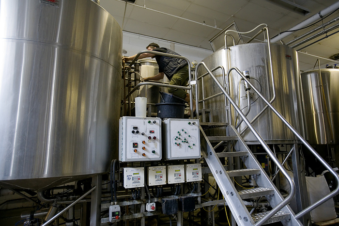 Technician adjusting vats in microbrewery Technician adjusting vats in microbrewery. Man working in Meantime microbrewery, Greenwich, London, UK. In the brewing process, germinated barley  malt  is mashed, boiled with hops to add flavour, and then fermented with yeast to make beer. A microbrewery is a small commercial brewery.