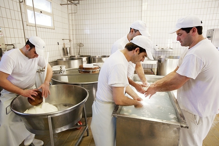 Organic mozzarella production Organic mozzarella production. Workers  at right  kneading mozzarella to achieve a smooth and delicate consistency. Below them is the whey, the liquid remaining after the milk has been curdled and strained. The production of mozzarella involves the mixture of curd with heated whey, followed by stretching and kneading. This process is known in Italy as pasta filata.