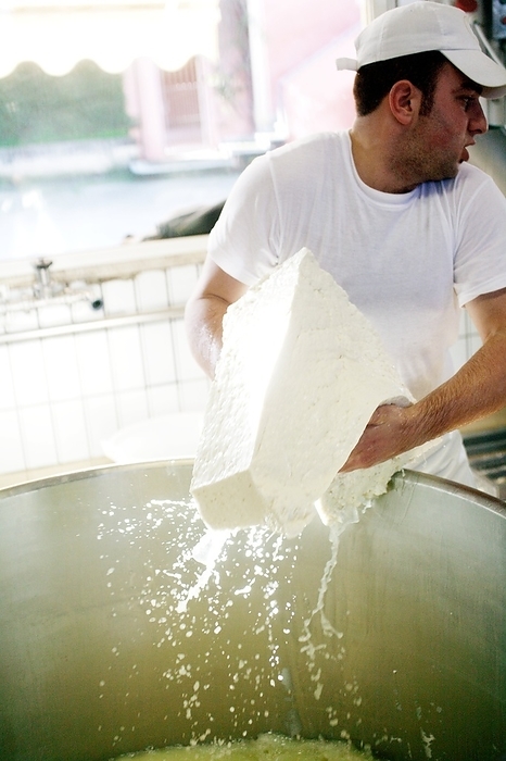 Organic mozzarella production Organic mozzarella production. Worker lifting a block of mozarella out of the whey, the liquid remaining after the milk has been curdled and strained. The production of mozzarella involves the mixture of curd with heated whey, followed by stretching and kneading to achieve a smooth and delicate consistency. This process is known in Italy as pasta filata.