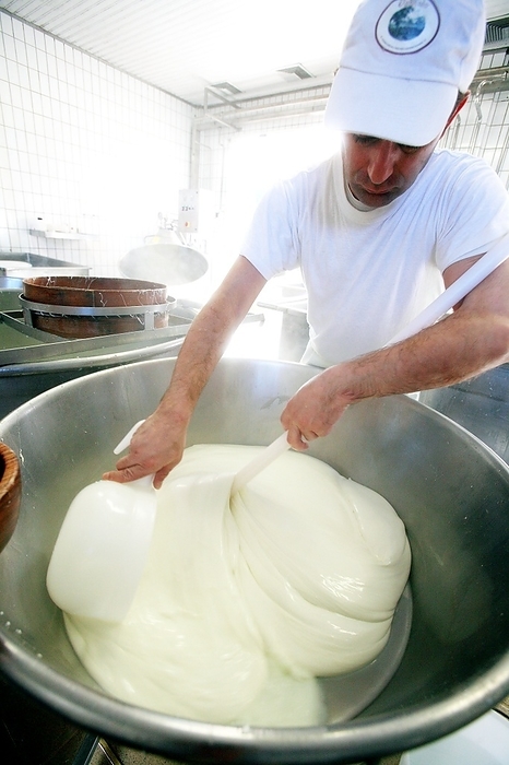 Organic mozzarella production Organic mozzarella production. The production of mozzarella involves the mixture of curd  seen here in the bowl  with heated whey, followed by stretching and kneading to achieve a smooth and delicate consistency. This process is known in Italy as pasta filata.