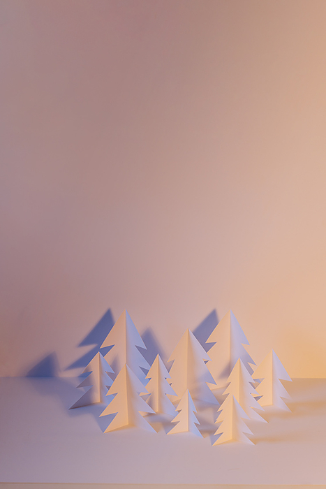Winter white landscape with trees made with paper at sunrise or sunset on white background with copy space Studio shot of white paper craft trees