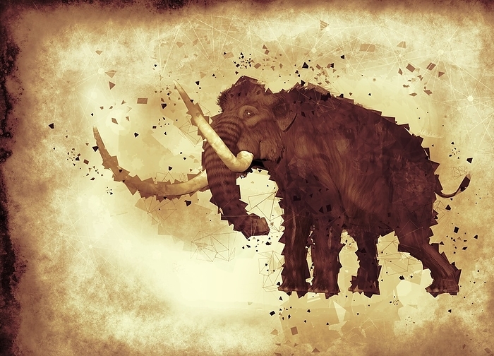 Woolly mammoth, illustration Woolly mammoth  Mammuthus primigenius , Photo by VICTOR HABBICK VISIONS SCIENCE PHOTO LIBRARY