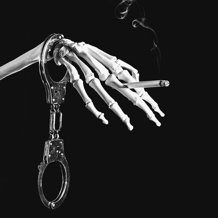 Deadly smoking addiction, conceptual image Smoking is addictive and deadly. clear and simple concept with handcuffs, skeleton and burning cigarette. Black and white image on black background., Photo by MICROGEN IMAGES SCIENCE PHOTO LIBRARY