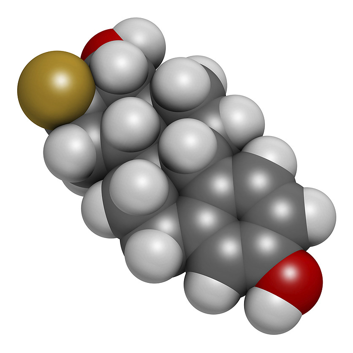 Fluoroestradiol F 18 diagnostic molecule, illustration Fluoroestradiol F 18 diagnostic molecule, illustration. Atoms are represented as spheres with conventional colour coding: hydrogen  white , carbon  grey , oxygen  red , fluorine  gold ., Photo by MOLEKUUL SCIENCE PHOTO LIBRARY