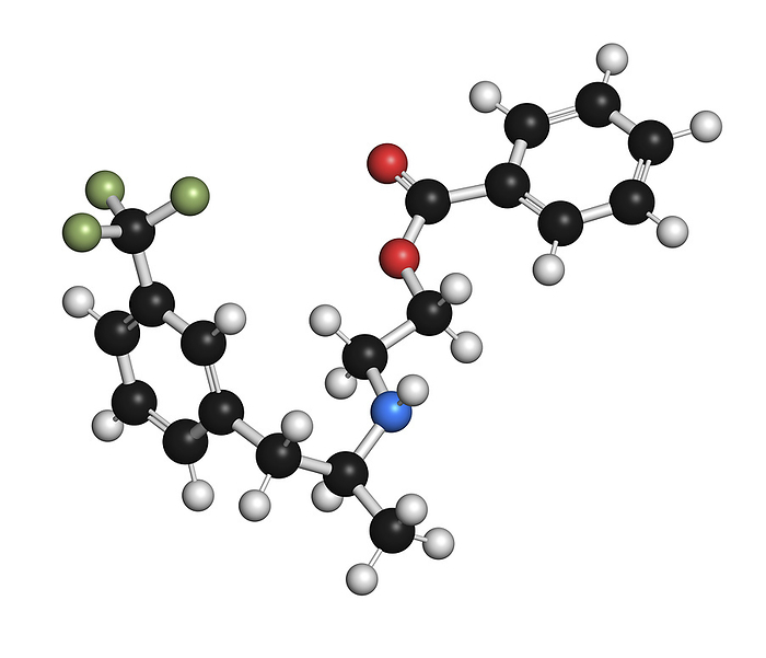 Benfluorex drug molecule, illustration Benfluorex drug molecule  withdrawn , illustration. Atoms are represented as spheres with conventional colour coding: hydrogen  white , carbon  black , oxygen  red , nitrogen  blue , fluorine  light green ., Photo by MOLEKUUL SCIENCE PHOTO LIBRARY