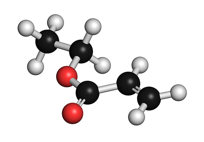 Ethyl acrylate molecule, illustration Ethyl acrylate molecule, illustration. Atoms are represented as spheres with conventional colour coding: hydrogen  white , carbon  black , oxygen  red ., Photo by MOLEKUUL SCIENCE PHOTO LIBRARY