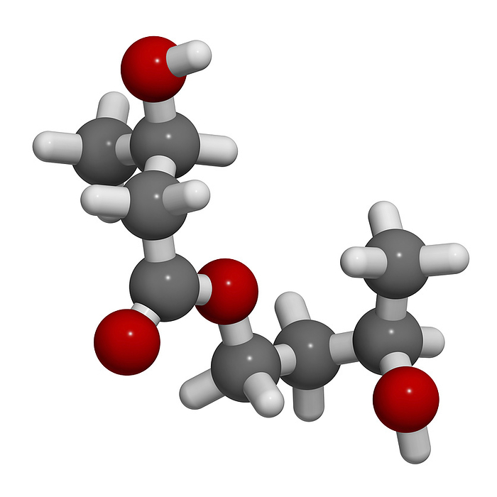 Ketone ester molecule, illustration Ketone ester molecule, illustration. Present in drinks to induce ketosis. Atoms are represented as spheres with conventional colour coding: hydrogen  white , carbon  grey , oxygen  red ., Photo by MOLEKUUL SCIENCE PHOTO LIBRARY