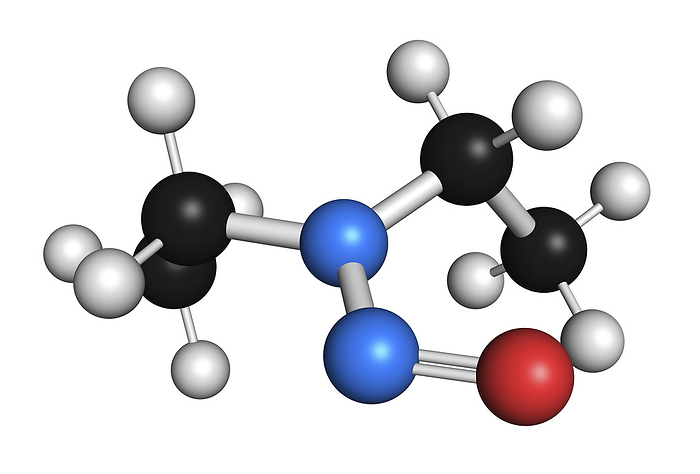 N Nitroso diethylamine carcinogenic molecule, illustration N Nitroso diethylamine or NDEA carcinogenic molecule, illustration. Atoms are represented as spheres with conventional colour coding: hydrogen  white , carbon  black , oxygen  red , nitrogen  blue ., Photo by MOLEKUUL SCIENCE PHOTO LIBRARY