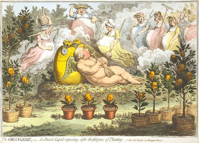 The Orangerie; the Dutch Cupid reposing after the fatigues of Planting. William V, Prince of Orange, as a fat, naked Cupid, reclining on a platform of grass and flowers and leaning on a bag of money marked 24,000,000 ducats. In the foreground are a number of orange plants with each orange bearing the likeness of the prince. In the background, as if in a dream, are many heavily pregnant women: a milkmaid, a fishmonger, a house maid, and many farm women. Date 16 September 1796