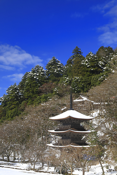 Three storied pagoda of Kongo in Temple covered with snow Kyoto Prefecture Important cultural property rebuilt in the Muromachi period
