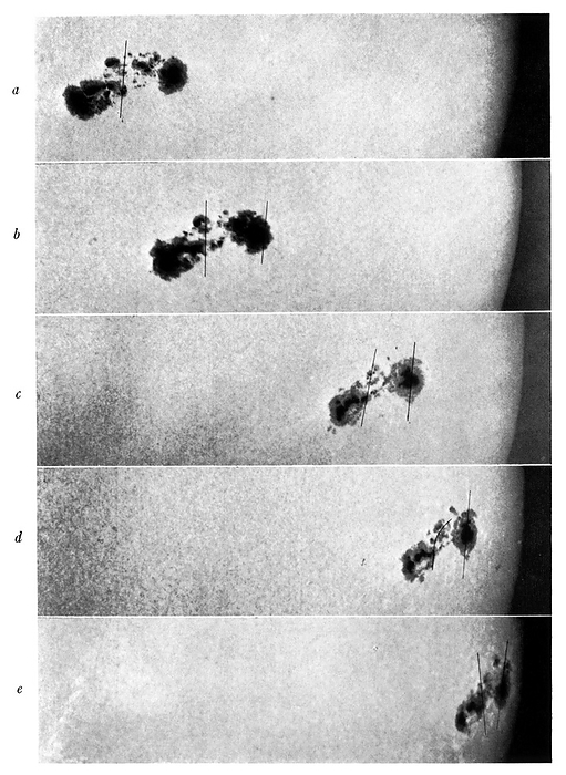Sunspots observation, 1917 Sunspots observation. Sequence of photographs, obtained in 1917, of sunspots  dark areas  on the surface of the Sun. The sequence runs from top to bottom, with the sunspots moving from left to right as the Sun rotates. Sunspots, first observed with telescopes in 1610, are areas of magnetic activity that are cooler than the rest of the Sun s surface. They are massive structures, ranging in size from hundreds of kilometres across to sizes larger than the Earth. Published in 1919 in volume 49 of The Astrophysical Journal.