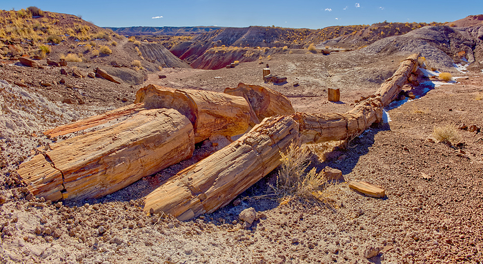 The Onyx Bridge in Petrified Forest National Park Arizona. It is one of the few petrified trees that is still nearly intact. One of the few petrified trees almost intact, The Onyx Bridge in Petrified Forest National Park, Arizona, United States of America, North America, Photo by Steven Love