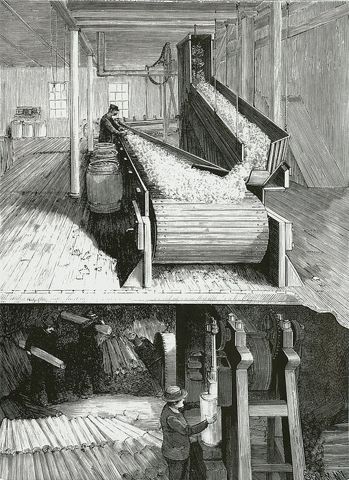 Paper making: Chipping spruce logs and sorting (top).  The chips then passed to the sulphit digester. From 'Scientific  American', 1898.