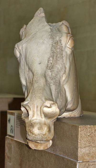 Statue of a horses head from the chariot of the moon-goddess Selene. Acropolis, Athens, 438-432 BC. From the east pediment of the Parthenon. It shows the horse as weary from it's night-long labour.