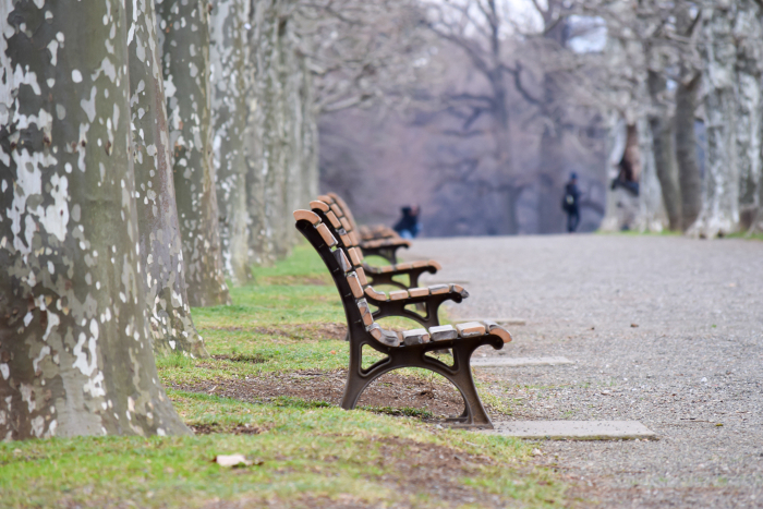 Benches lining the park