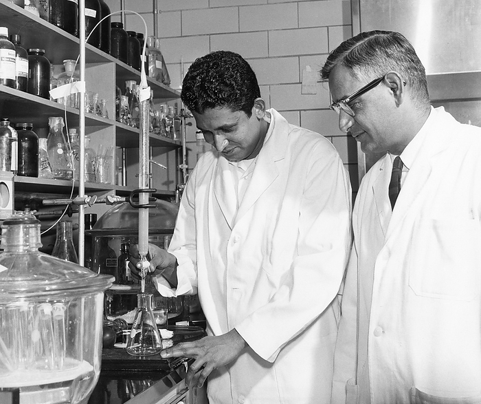 Dr. H. Gobind Khorana and Dr. T. Mathai Jacob in laboratory Editorial use only   Dr Gobind Khorana  1922 2011, left , Indian American chemist and Dr. T. Mathai Jacob  right  at their laboratory at the Institute for Enzyme Research, University of Wisconsin in Madison. In the 1960s, Khorana began studying the nucleic acids which form a human s genetic code. He synthesised the triplet combinations of the four nucleic acids  bases  and determined each sequence for the 20 amino acids in the human body. He found that most have a pattern of three base codes, but that some had more. In 1970, Khorana was the first to synthesise an artificial gene. In 1976, he made a second one which was capable of functioning within a living cell. Khorana shared the 1968 Nobel Prize in Physiology or Medicine in 1968 with Marshall Nirenberg and Robert Holley for their work on the interpretation of the genetic code and its function in protein synthesis. Photographed in 1964.