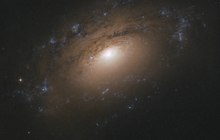 Spiral galaxy, Hubble Space Telescope image Hubble Space Telescope  HST  image of NGC 3169, a spiral galaxy located about 70 million years ago in the constellation of Sextans. The galaxy s spiral arms are made of cosmic dust formed from water ice, hydrocarbons, silicates and other material., Photo by NASA ESA STScI SCIENCE PHOTO LIBRARY