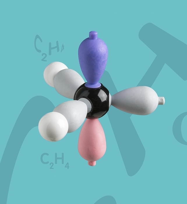 Model of ethene before hybridisation LHS Electron density model of ethene before hybridisation Left hand side of Ethene model before hybridization. Ethene is a very important hydrocarbon which has the formula C2H4. The model shows sigma  and pi bonding orbitals, and the concept of hybridisation and delocalisation. A carbon and two hydrogen atoms form the left and right sides of the simplest alkene compound   ethene. In an sp2 hybridization, one s orbital is mixed with two p orbitals to form three sp2 hybridized orbitals. Much of the production of ethene goes to polyethylene manufacture and also as a plant hormone to speed up the ripening of fruit., Photo by MARTYN F. CHILLMAID SCIENCE PHOTO LIBRARY