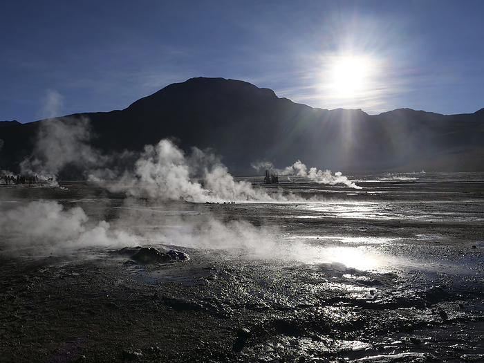 Steaming geysers and early morning light at El Tatio, Chile Plumes of steam illuminated by the early morning sunlight rise into the air from some of the numerous geysers and fumaroles at El Tatio geothermal field high in the Andes of northern Chile. , Photo by DAVID TAYLOR SCIENCE PHOTO LIBRARY