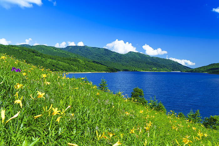 Lake Notan, Gunma Prefecture and Nikkoukisuge