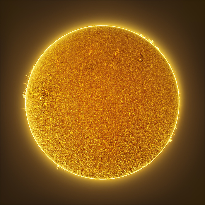 Solar surface Surface of the Sun imaged with a Hydrogen alpha filter, showing small group of sunspots. Sunspots are areas of magnetic activity that are cooler than the rest of the Sun s surface. They range in size from hundreds to thousands of kilometres across. Three active regions AR2790, AR2786 and AR2785 are seen here as white dots. Plages  dark brown , bright patches surrounding the sunspots, are visible. The granular appearance of the solar surface is also captured in this image. These granules appear in the photosphere layer, the layer that radiates visible light. Solar prominences are seen around the surface. These are jets of plasma being ejected from the Sun s surface by turbulence in its magnetic field. This image was obtained using a H alpha telescope on 3 December 2020., Photo by MIGUEL CLARO SCIENCE PHOTO LIBRARY