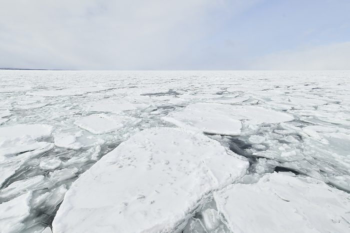 Drift ice seen from the Garinko II