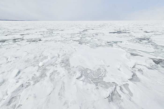 Drift ice seen from the Garinko II