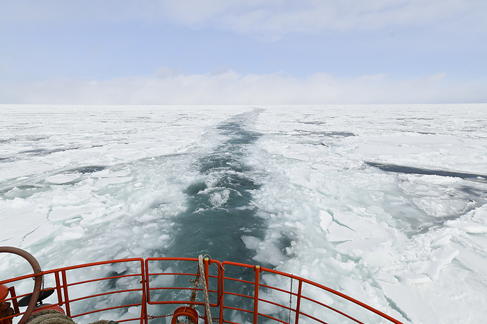 The Galinco II breaking through the ice floe.