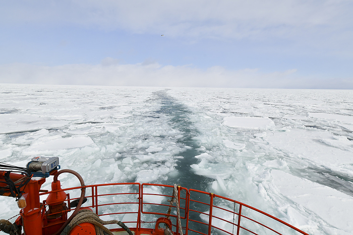 The Garinko II, breaking through the ice floes
