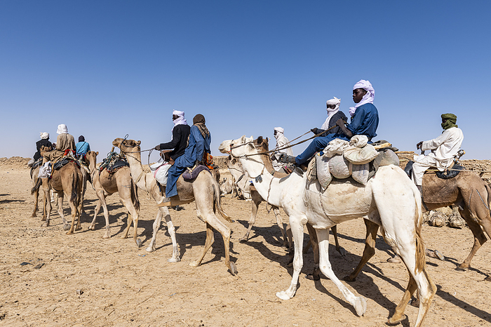 Tuaregs on their camels, Bilma, Tenere desert, Niger Tuaregs on their camels, Bilma, Tenere desert, Niger, West Africa, Africa, Photo by Michael Runkel