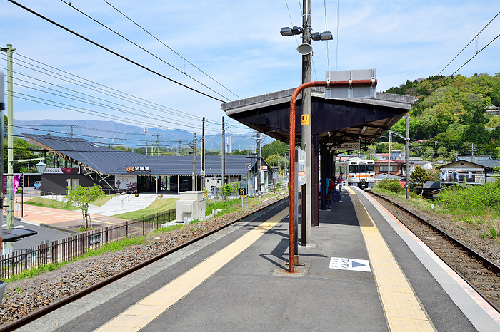 Gotemba Line Ashigara Station Series 313 cars