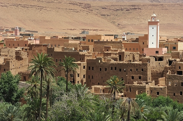 Tinerir, Morocco Typical village with traditional mud brick houses and a mosque with a minaret in a date palm oasis on Oued Todhra, Tinerhir, South Morocco, Africa